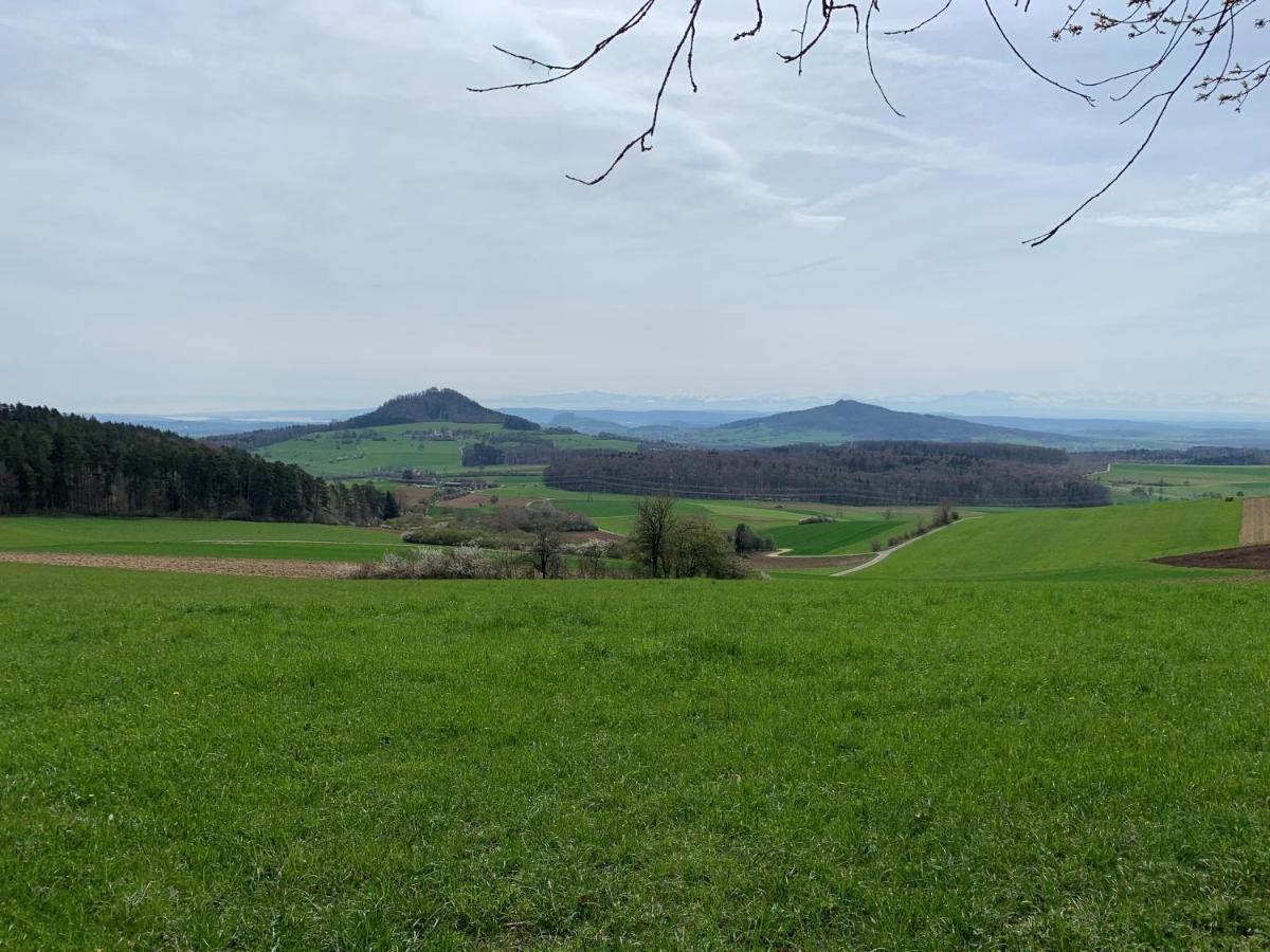 Ferienwohnung Im Glockenziel Engen Buitenkant foto